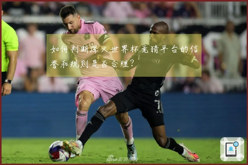 如何判断烽火世界杯竞猜平台的信誉和规则是否合理？