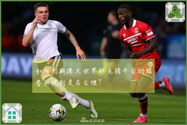 如何判断烽火世界杯竞猜平台的信誉和规则是否合理？